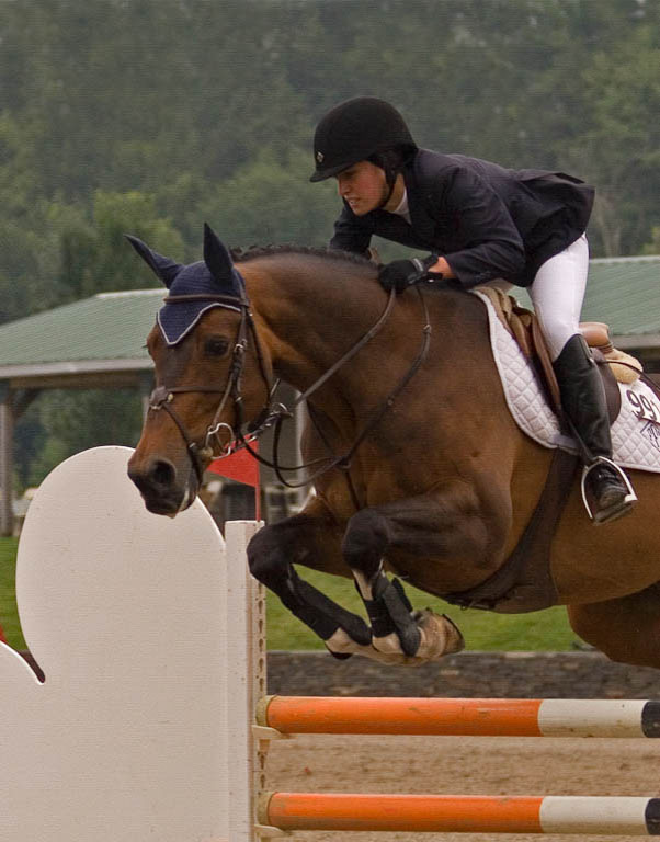 Hits Horse Jump  Canvas MG 1805